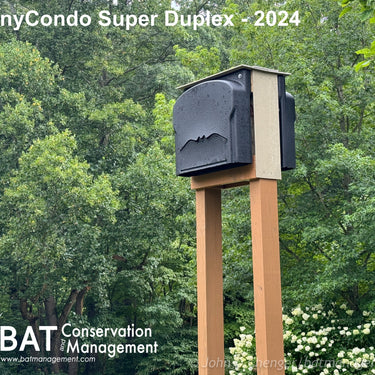 ColonyCondo Super Duplex - 15 chamber resin