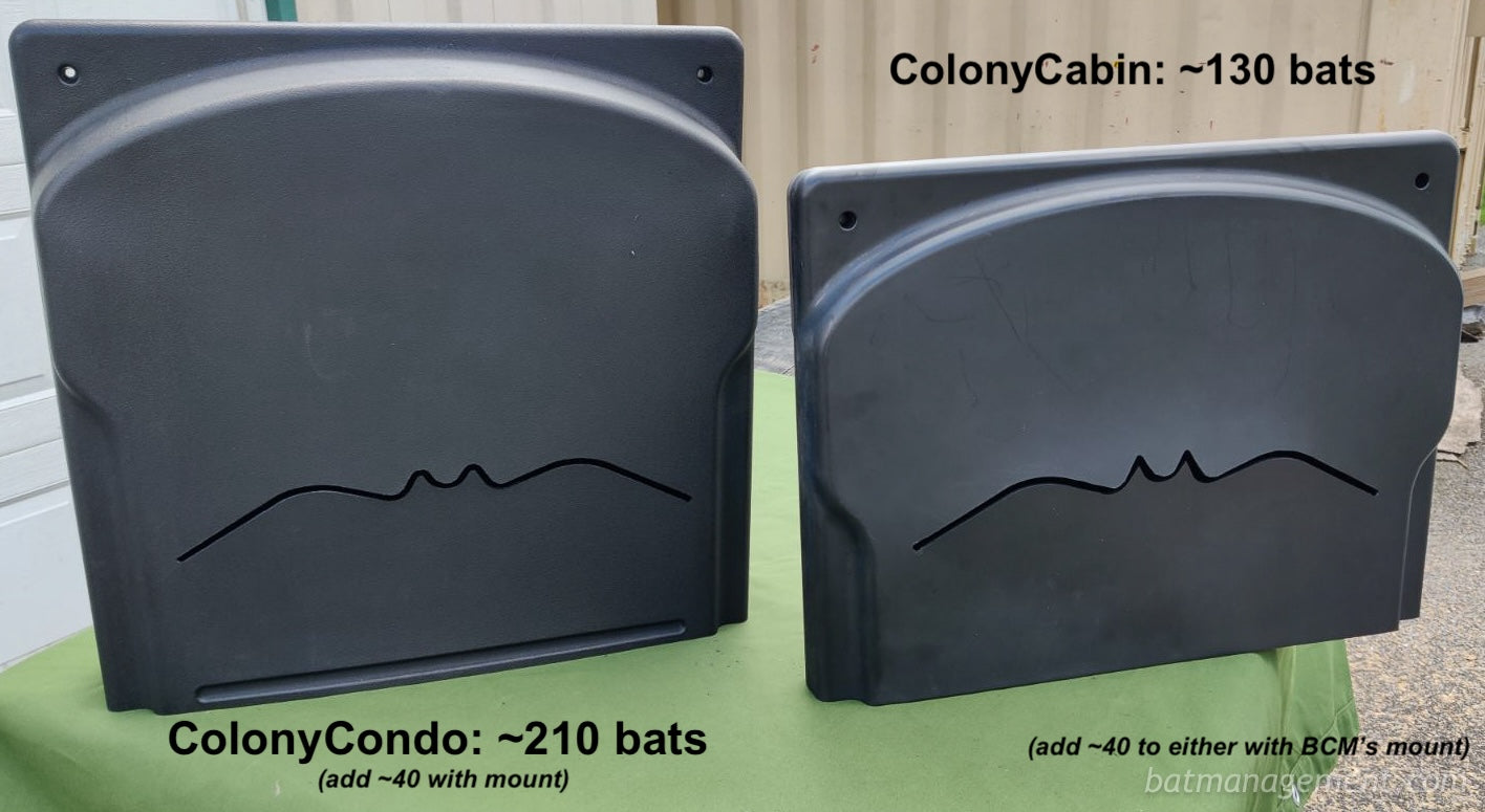 Bat Management Bat Conservation and Management – Bat Conservation and Management, Inc.