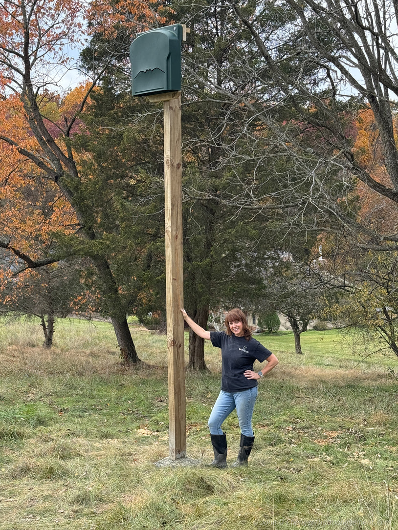 How to Install a Bat House – Bat Conservation and Management, Inc.