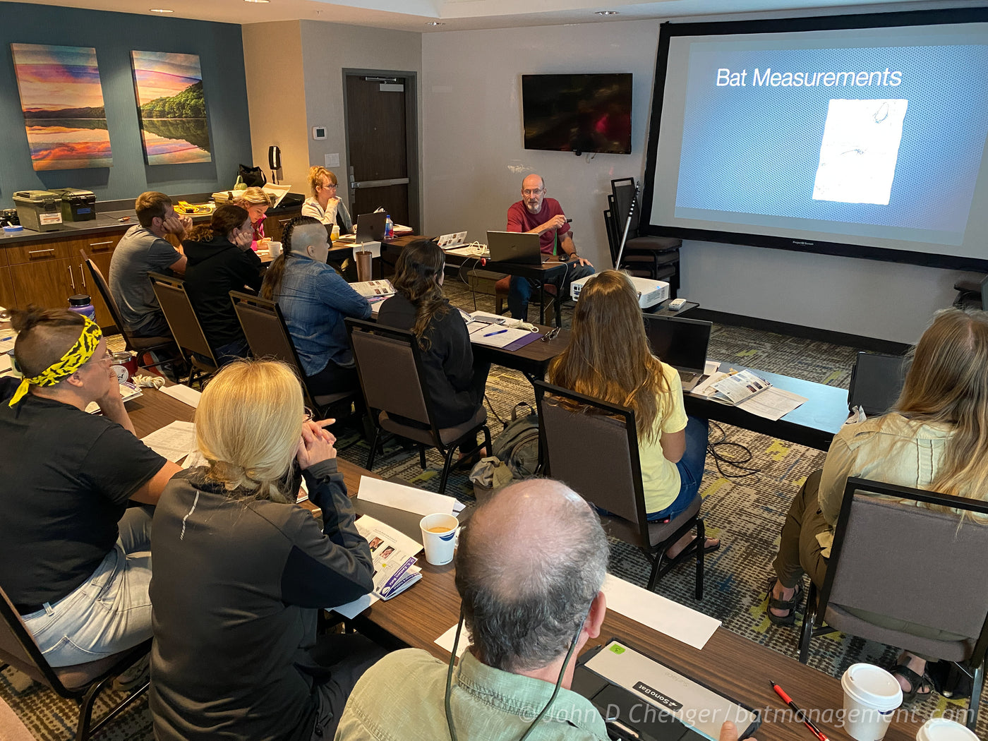 Level 2 Bat Capture & Handling Workshop (KY) September 1-5, 2026 – Bat ...