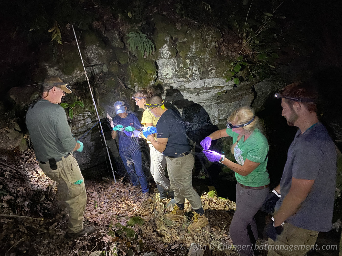 Level 2 Bat Capture & Handling Workshop (KY) September 1-5, 2026 – Bat ...