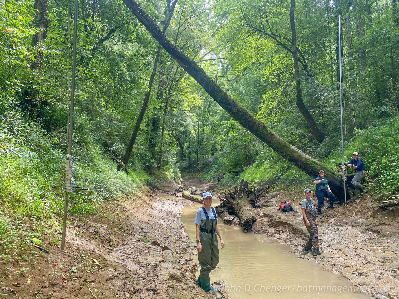 Level 2 Bat Capture & Handling Workshop (KY) September 1-5, 2026 – Bat ...