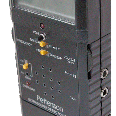 Pettersson D240x - Used