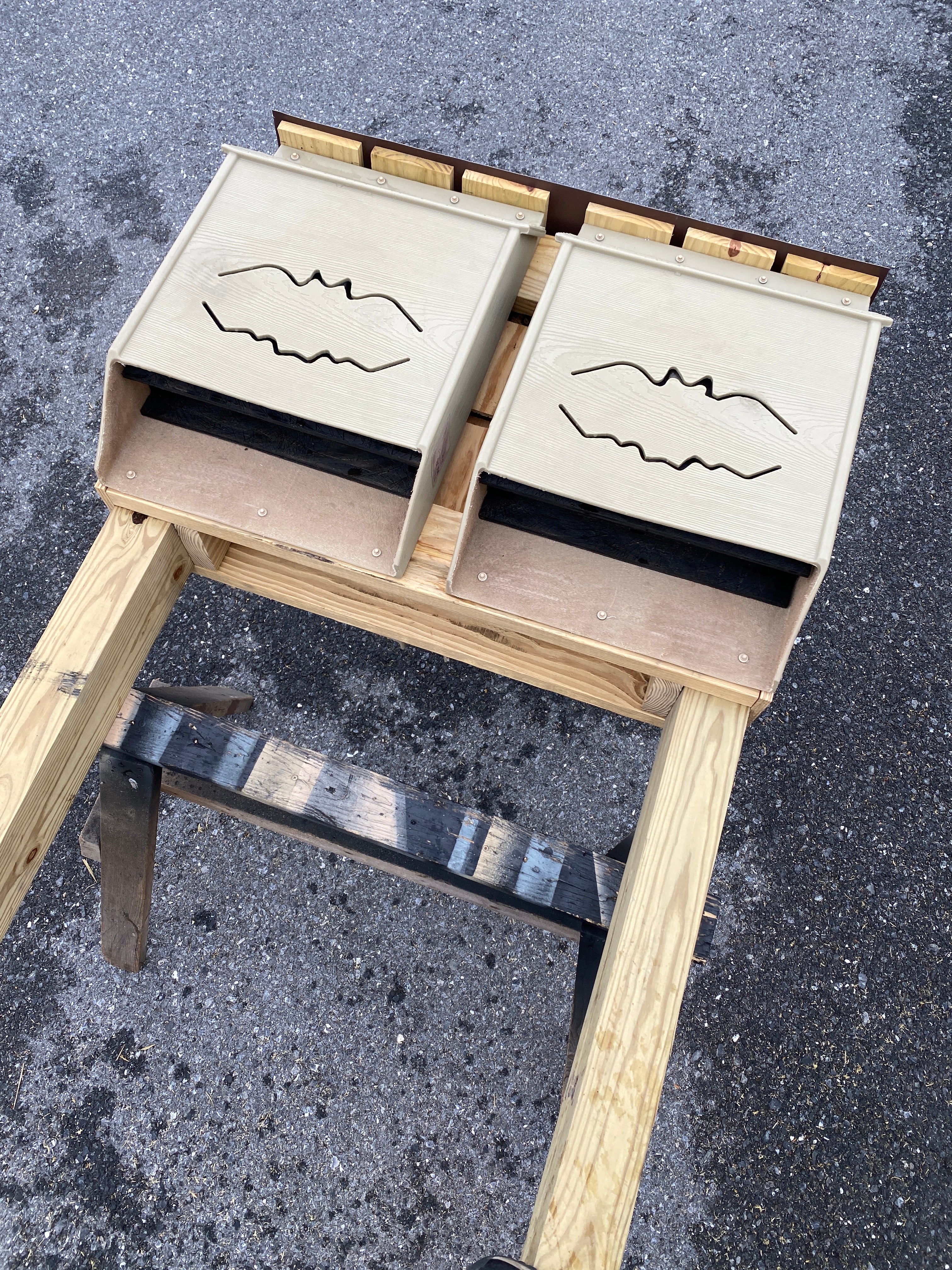 Bat Management Modular Bat Condo 2x2 - Big Bat House – Bat Conservation and Management ...