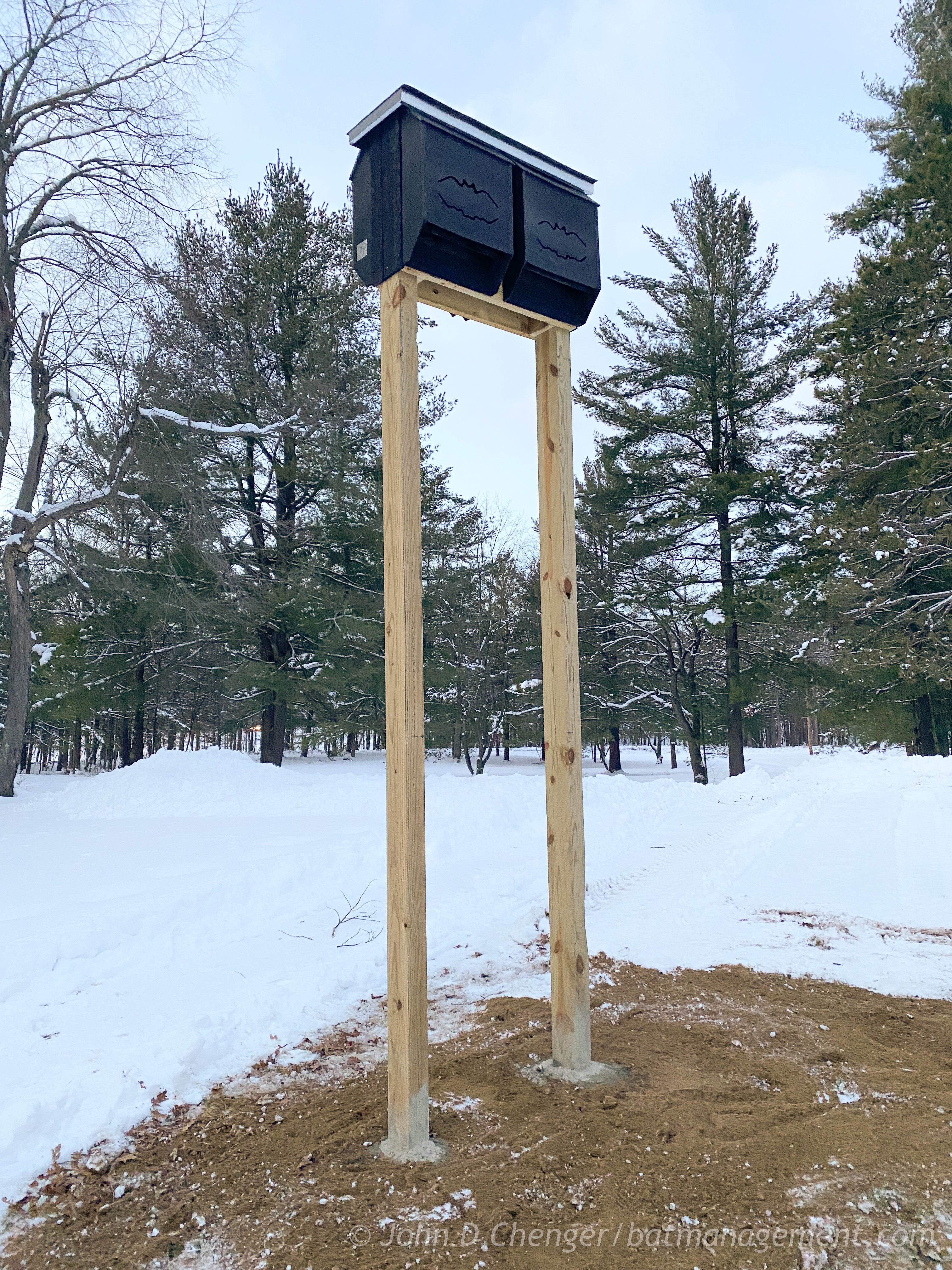 Bat Management Modular Bat Condo 2x2 - Big Bat House – Bat Conservation and Management ...