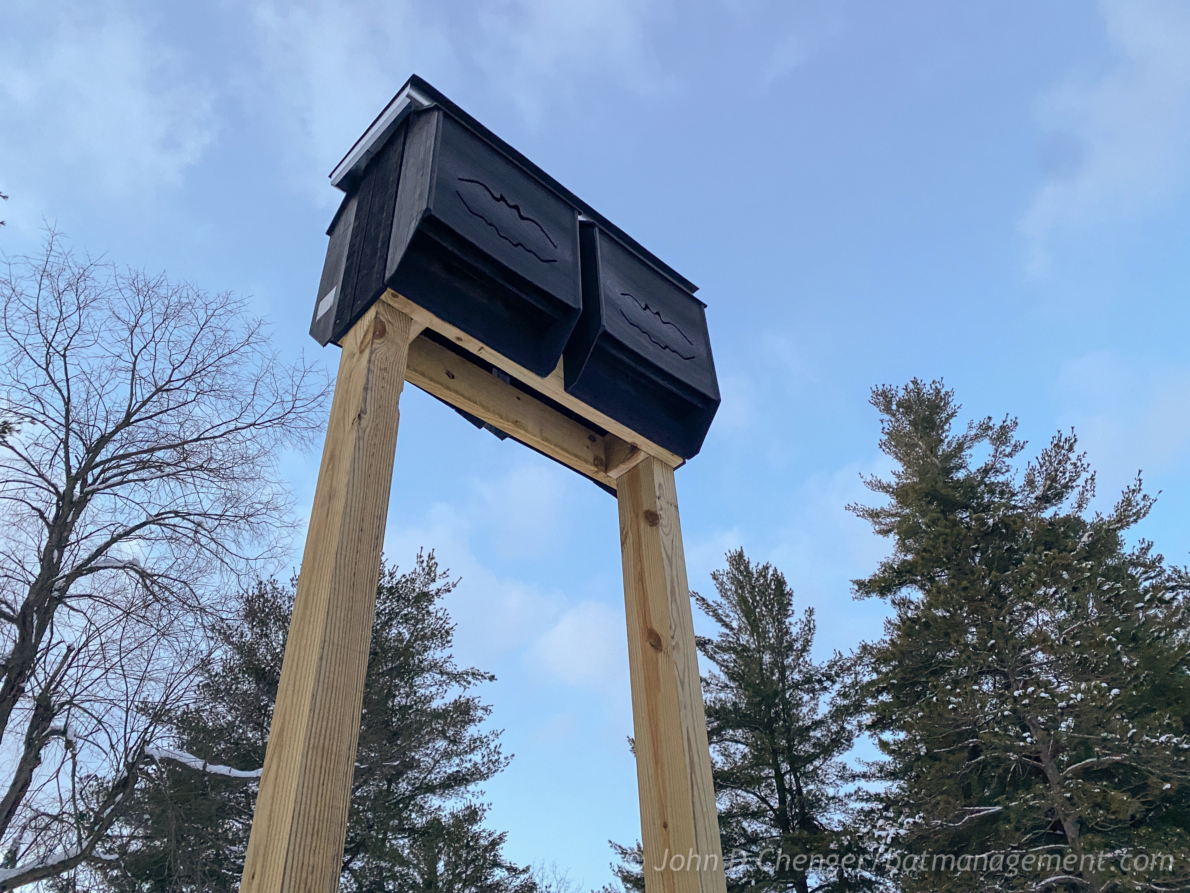 Bat Management Modular Bat Condo 2x2 - Big Bat House – Bat Conservation and Management ...