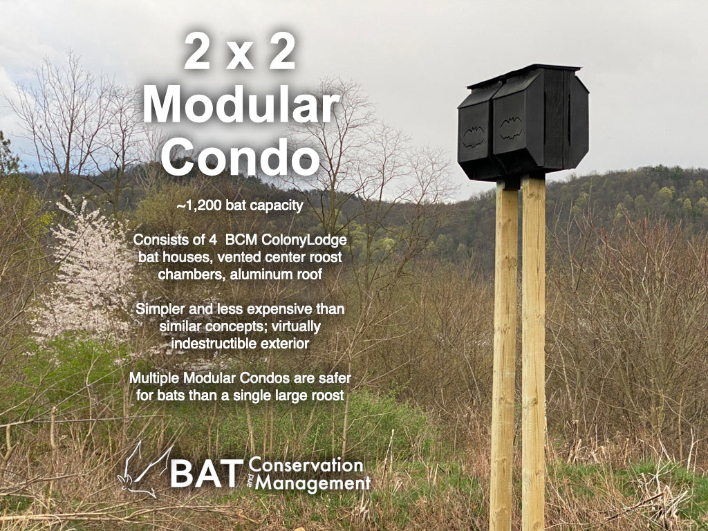Bat Management Modular Bat Condo 2x2 - Big Bat House – Bat Conservation and Management ...
