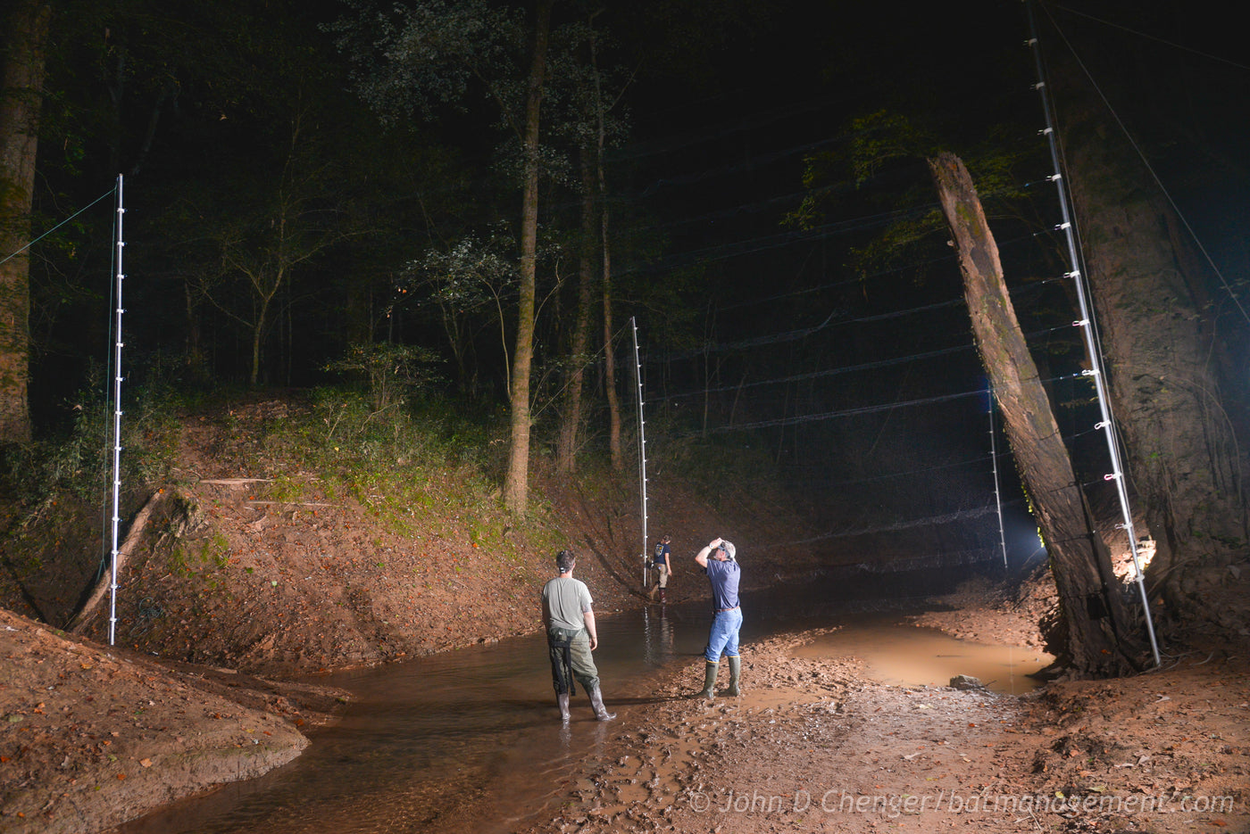 Level 2 Bat Capture & Handling Workshop (KY) September 1-5, 2026 – Bat ...