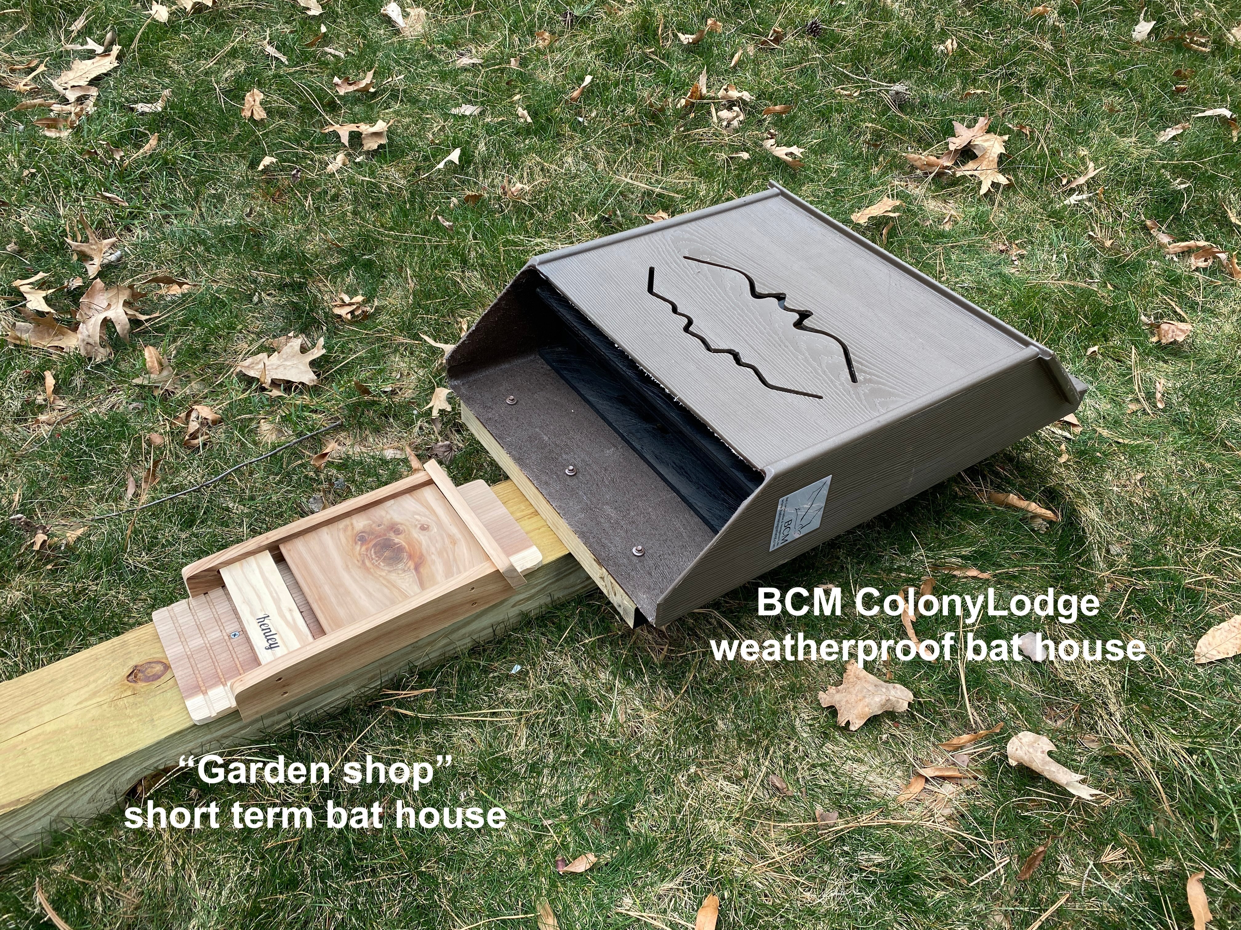 Bat Management ColonyLodge - 4 chamber resin – Bat Conservation and Management, Inc.