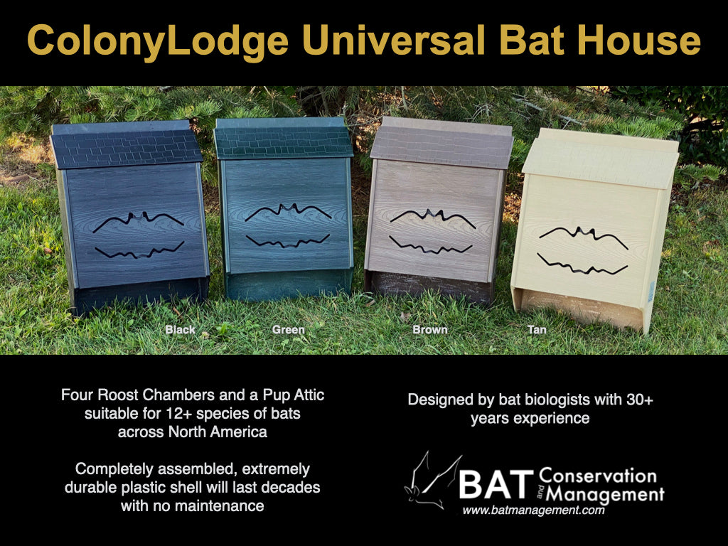 Bat Management ColonyLodge - 4 chamber resin – Bat Conservation and Management, Inc.