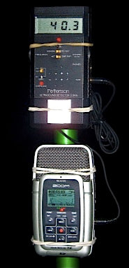 Zoom H2 Recorder for Pettersson D240x