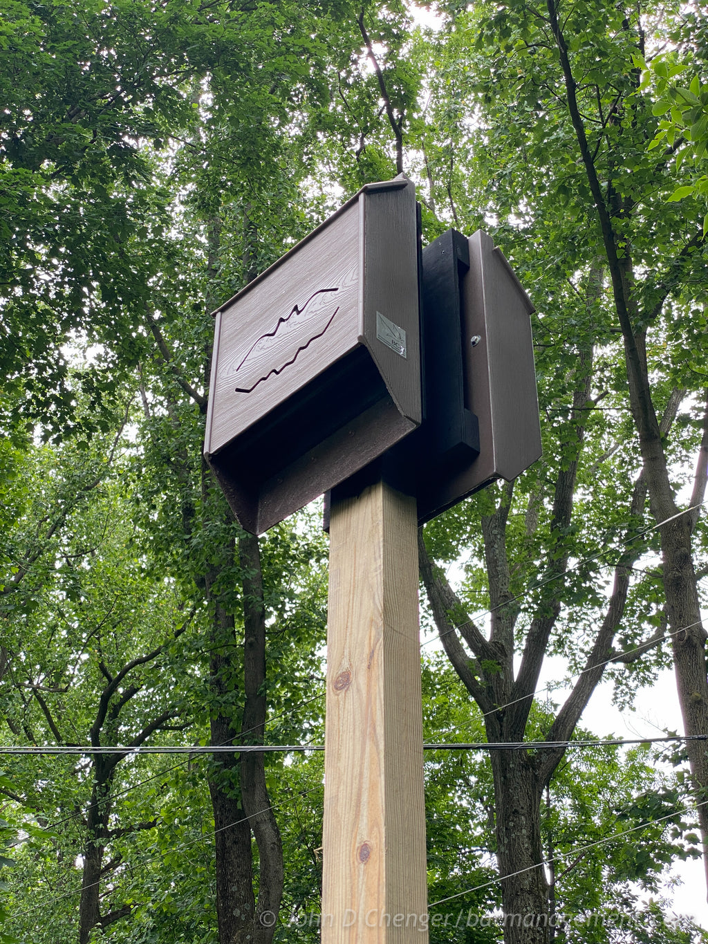 Bat Management Bat Houses – Bat Conservation and Management, Inc.