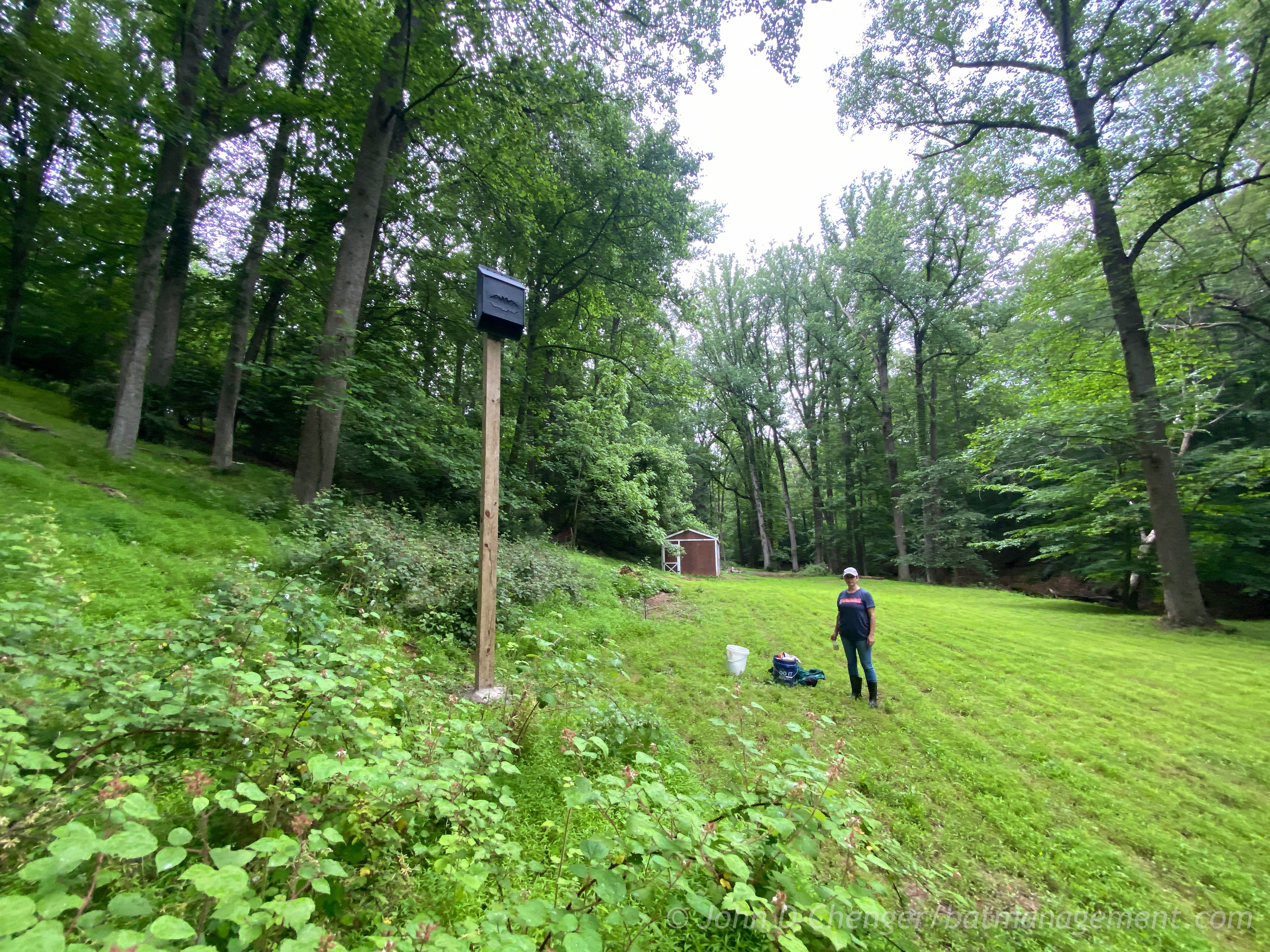 Bat Management ColonyLodge - 4 chamber resin – Bat Conservation and Management, Inc.
