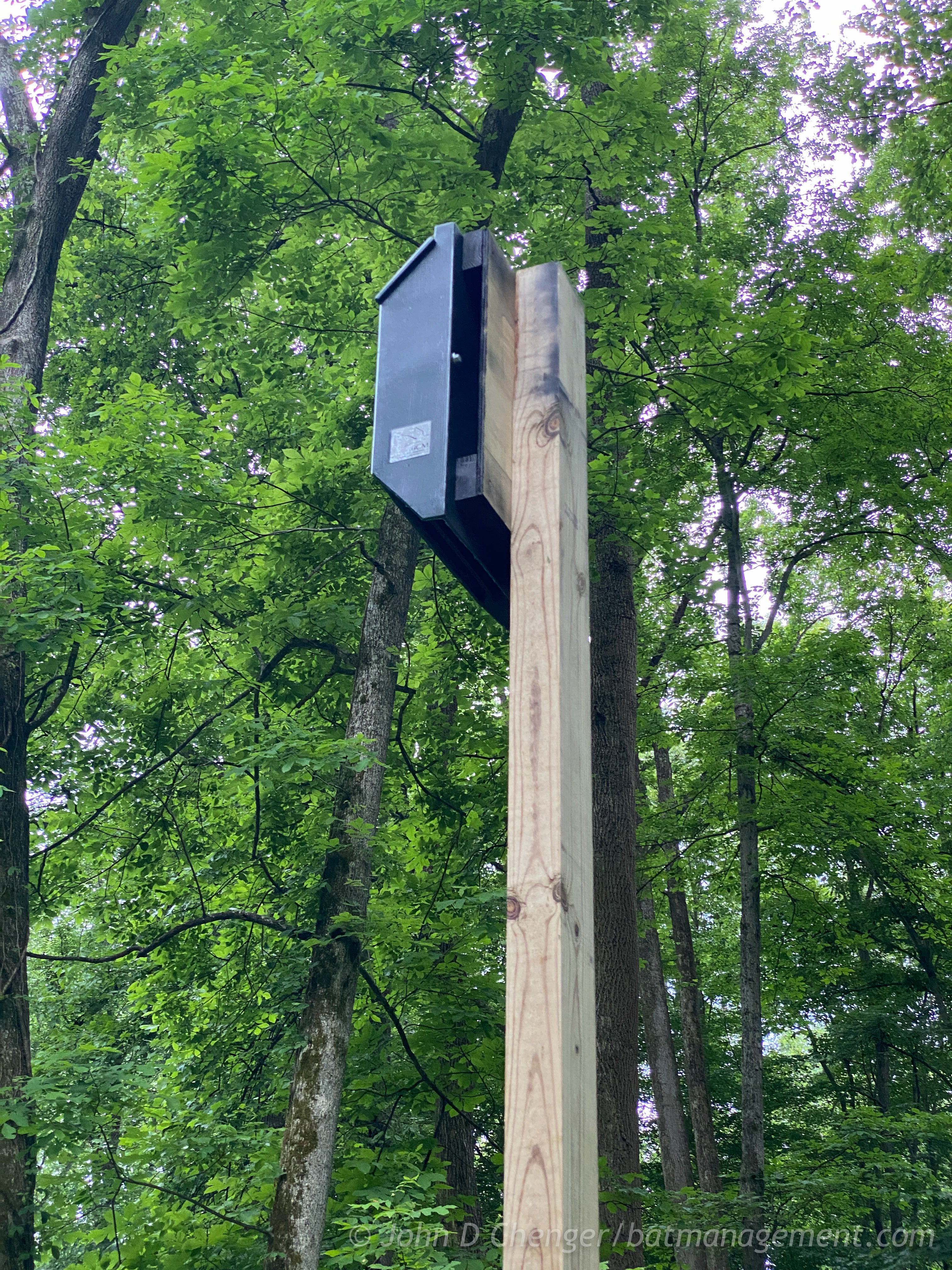 Bat Management ColonyLodge - 4 chamber resin – Bat Conservation and Management, Inc.