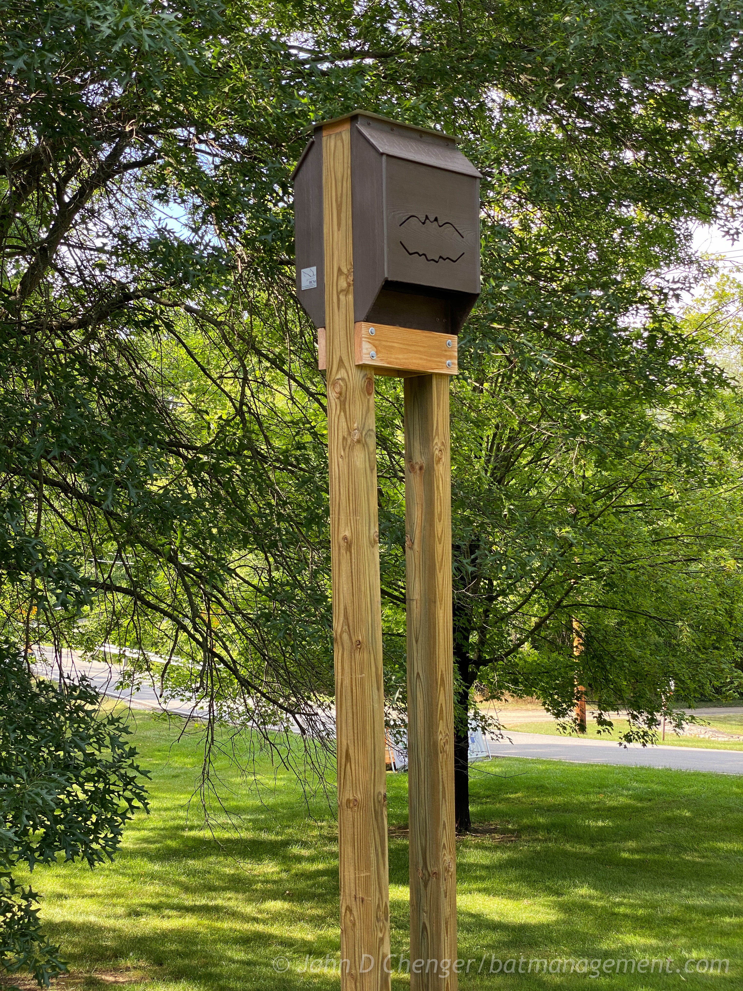 Bat Management ColonyCondo Super Duplex - 15 chamber resin – Bat Conservation and ...