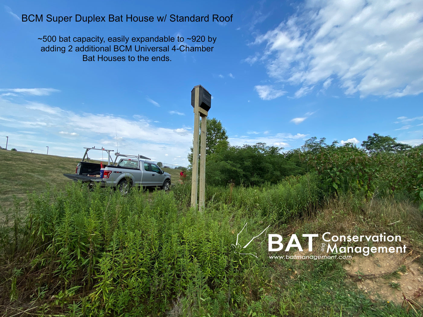Bat Management Super Duplex Bat House – Bat Conservation and Management, Inc.