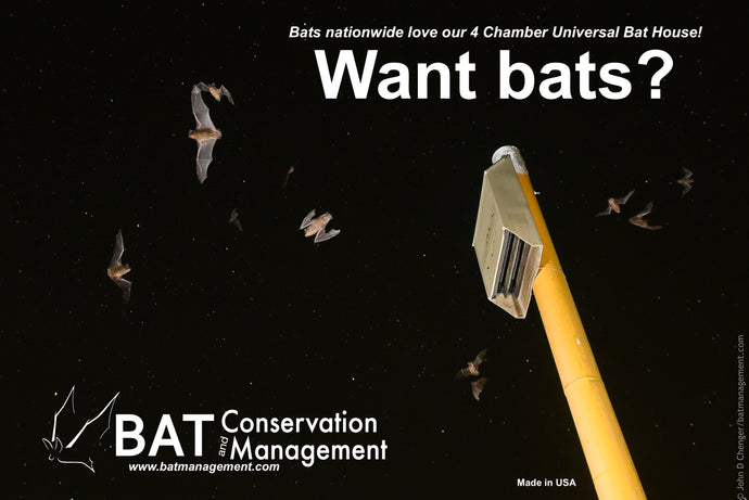 ColonyLodge - 4 chamber resin – Bat Conservation and Management, Inc.