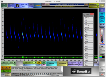 SonoBat 4 North America – Bat Conservation and Management, Inc.