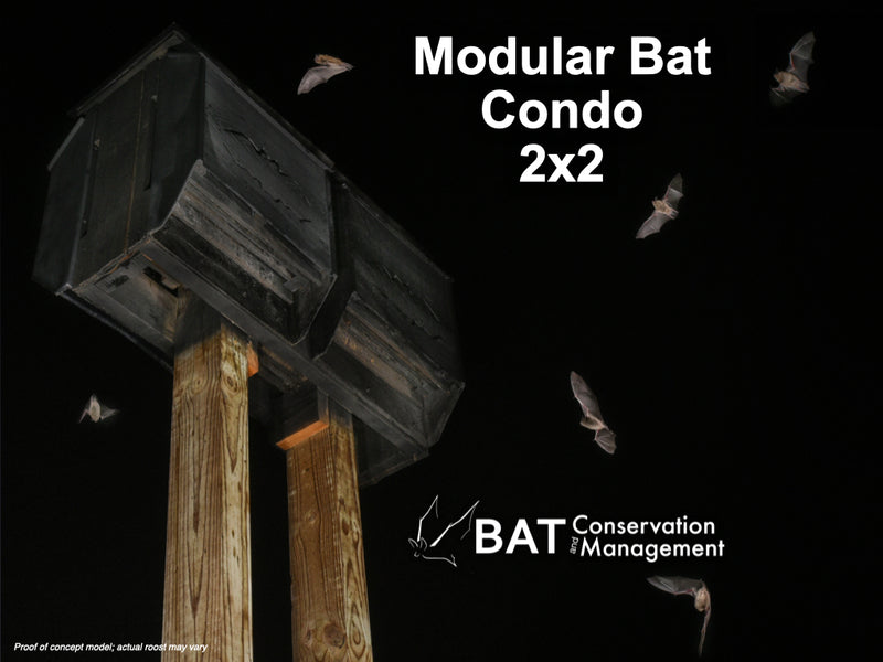 Bat Management Modular Bat Condo 2x2 - Big Bat House – Bat Conservation and Management ...