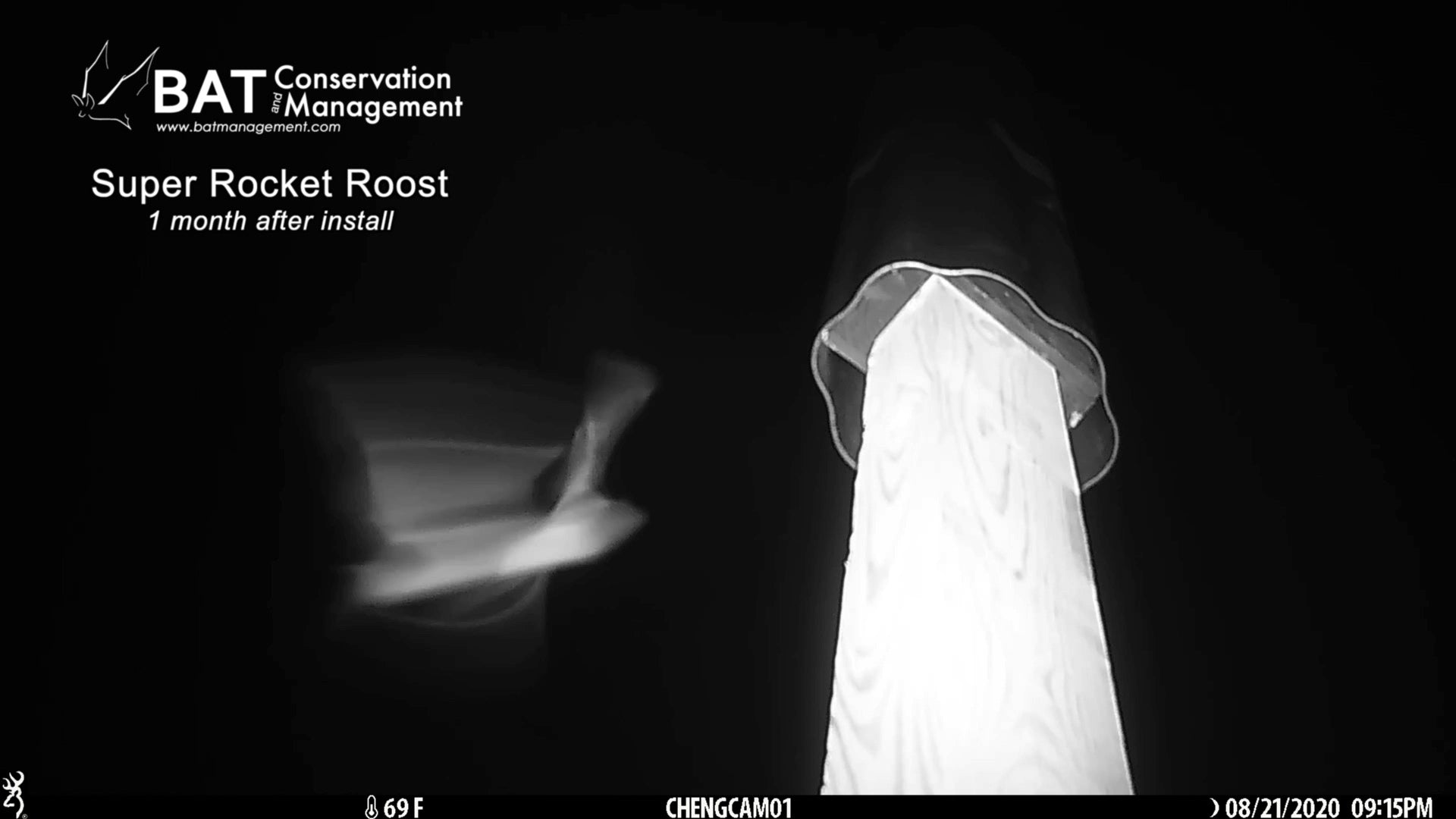Super Rocket Roost - resin shell β Bat Conservation and Management, Inc.