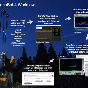 SonoBat 4 North America