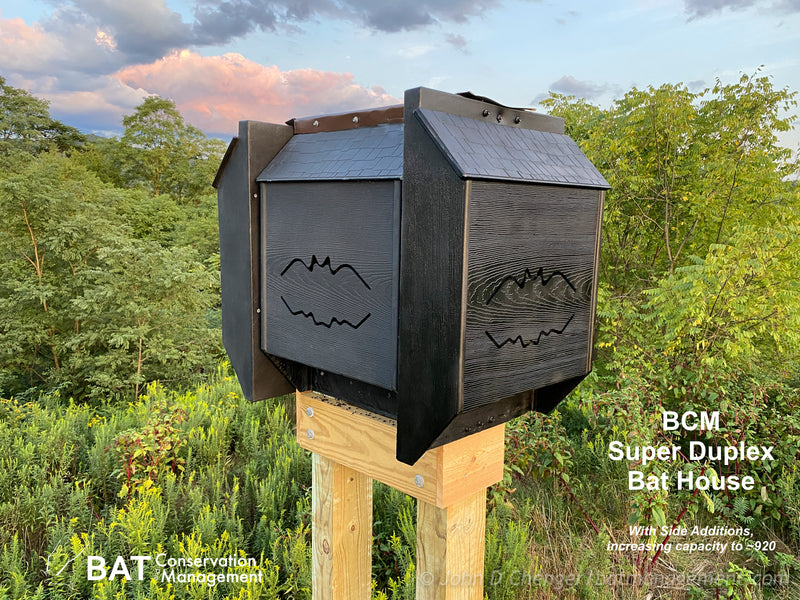 Bat Management Super Duplex Bat House – Bat Conservation and Management, Inc.