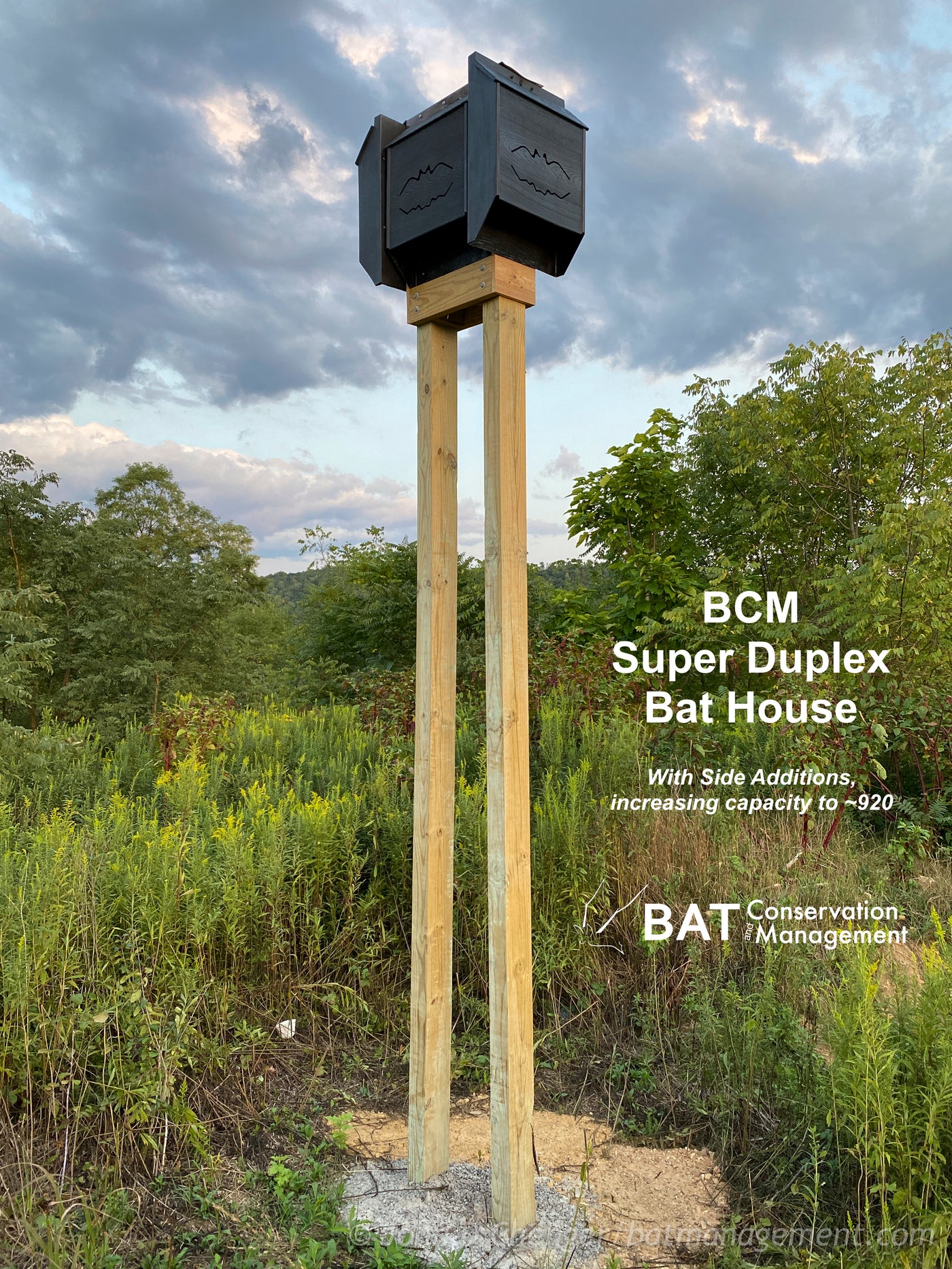 Bat Management ColonyCondo Super Duplex Bat House – Bat Conservation and Management, Inc.