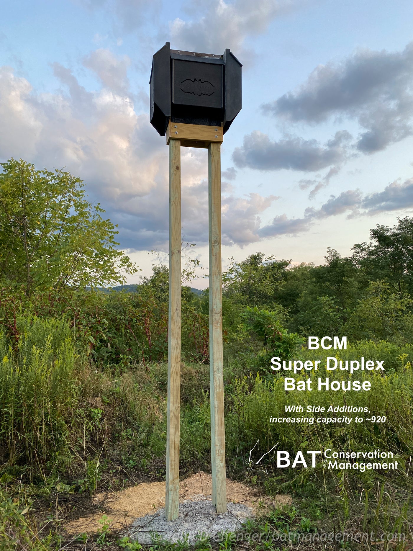 Bat Management ColonyCondo Super Duplex Bat House – Bat Conservation and Management, Inc.