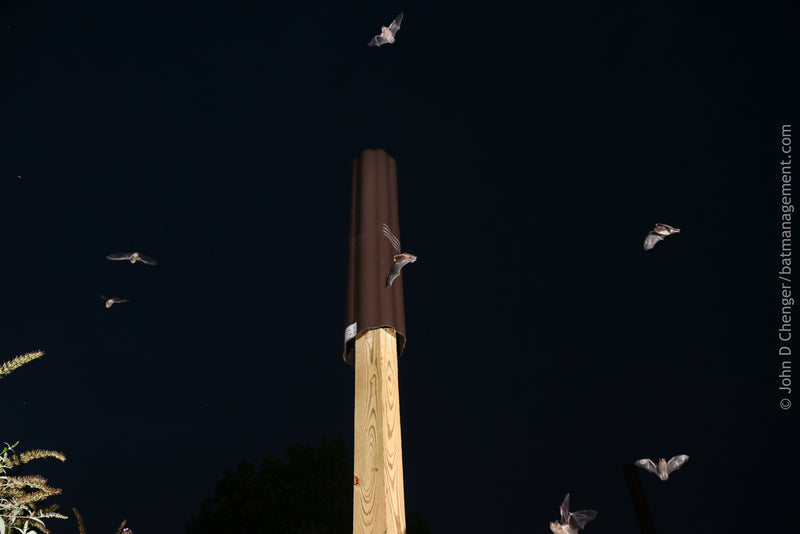 Super Rocket Roost - 8''x56'' Artificial tree bat roost