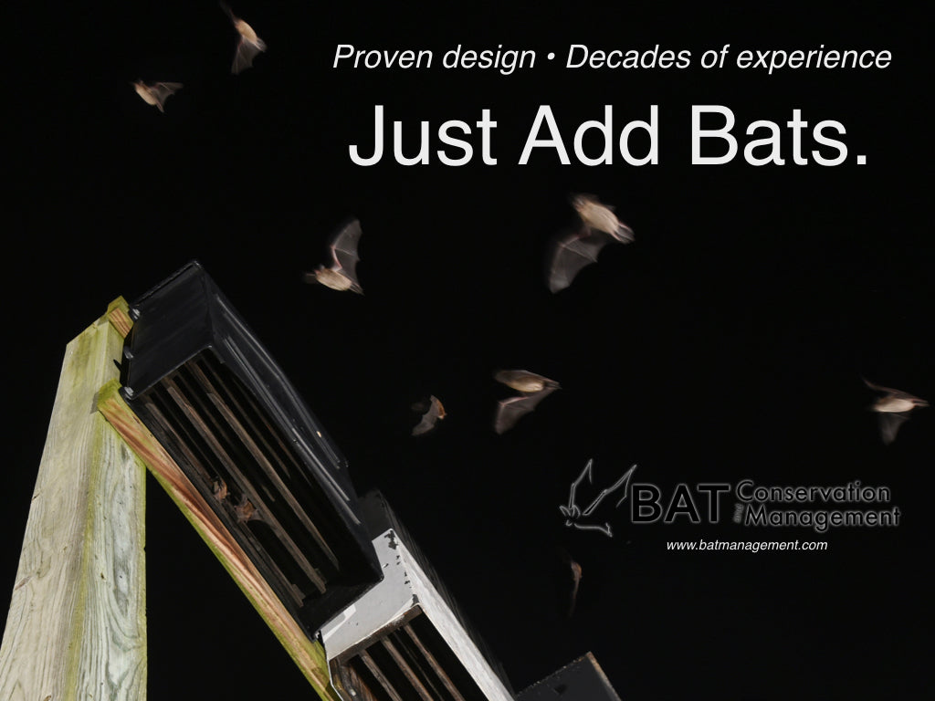 Bat Management ColonyLodge - 4 chamber resin – Bat Conservation and Management, Inc.