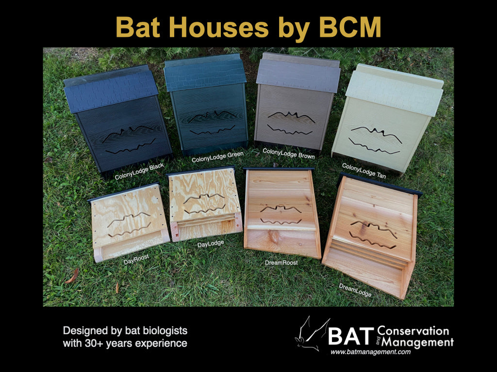 Bat Management ColonyLodge - 4 chamber resin – Bat Conservation and Management, Inc.