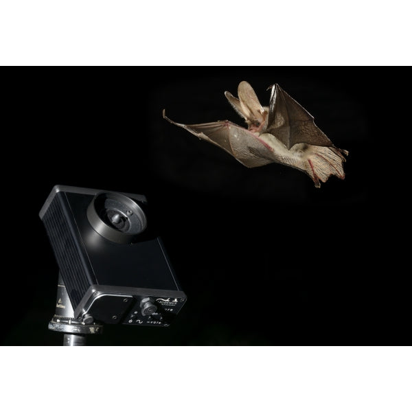 Apodemus BatLure – Bat Conservation and Management, Inc.