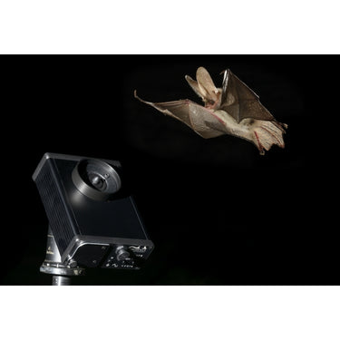 Apodemus BatLure External Speaker