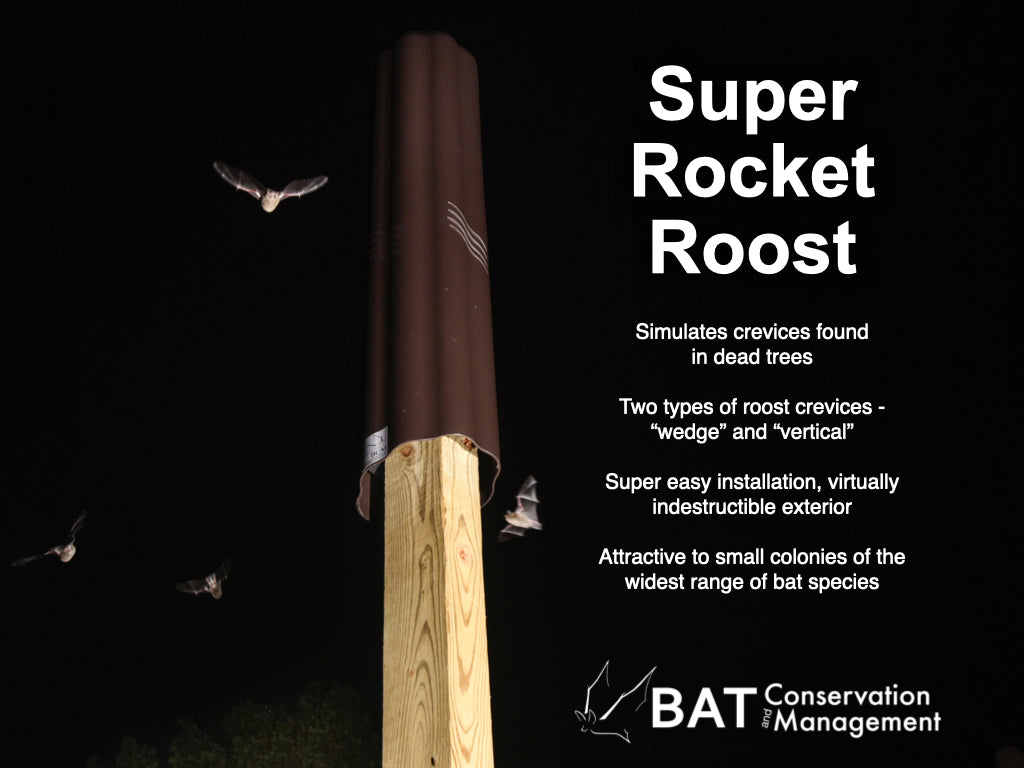Super Rocket Roost - resin shell – Bat Conservation and Management, Inc.