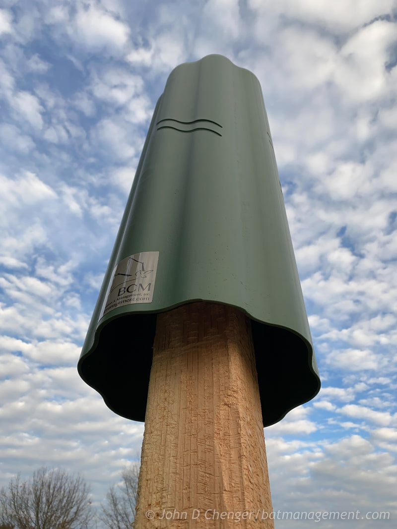 Rocket Roosts - Rocket Box - Artificial Tree Bat Houses β Bat ...