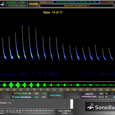 SonoBat 4 North America
